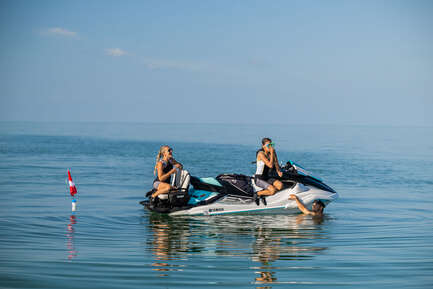 Thumbnail image of gallery image 2