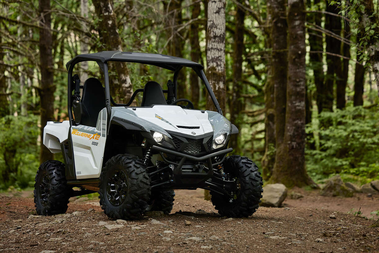 Full image of gallery image 4