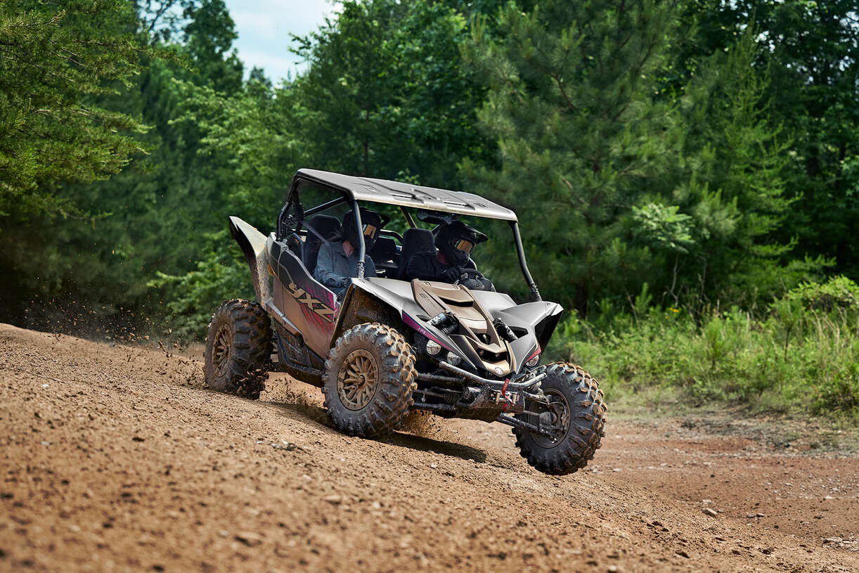 Full image of gallery image 5